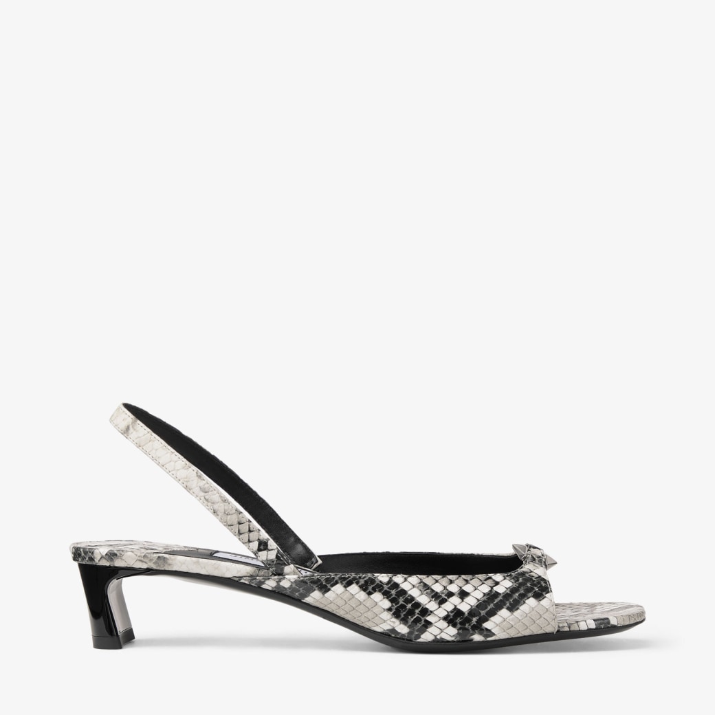 Newsletter content from jimmychoo
