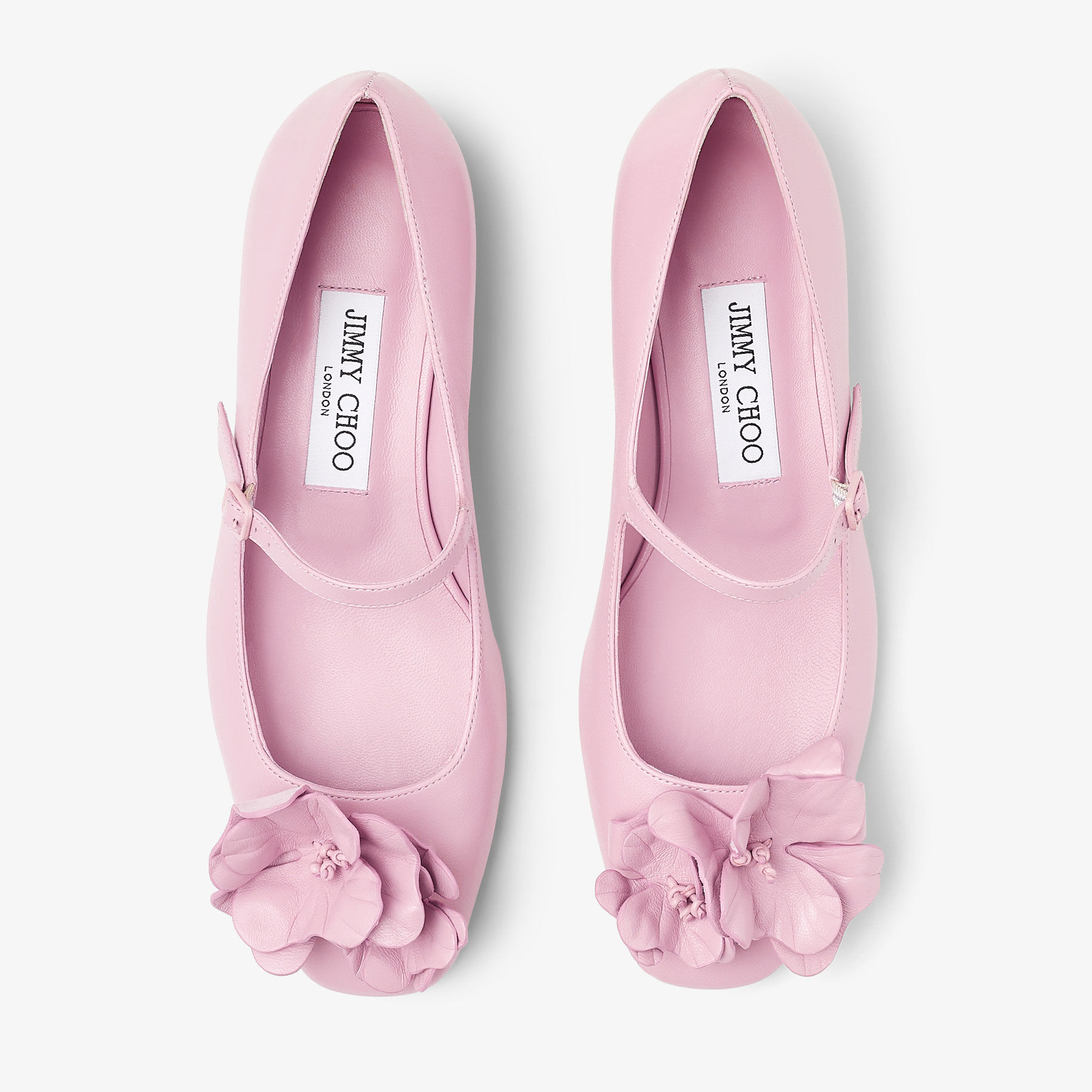 Rosa Flowers Flat Rose Nappa Leather Flats with Flowers New
