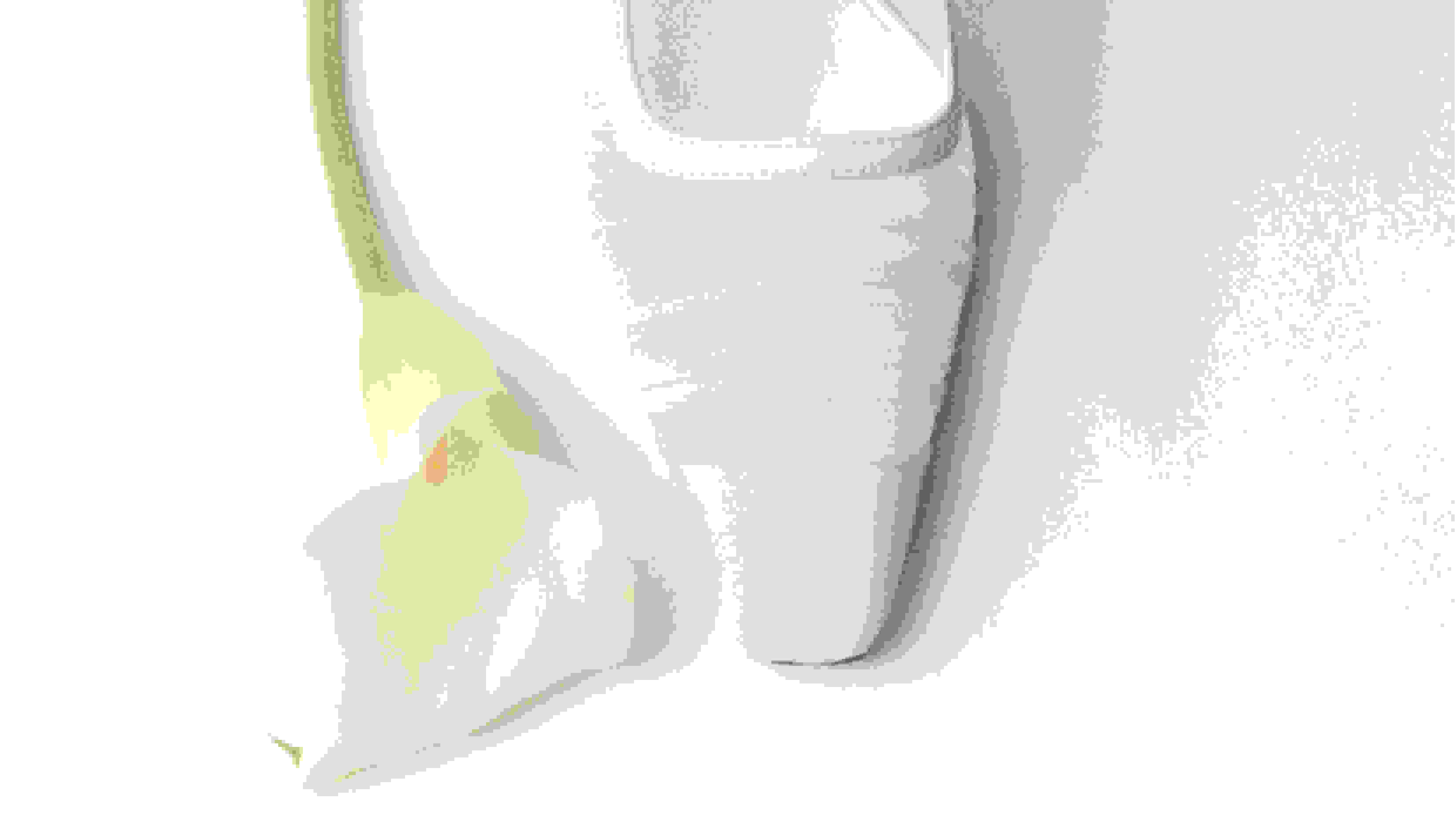 JIMMY CHOO - Official Online Boutique | Shop Luxury Shoes, Bags and ...