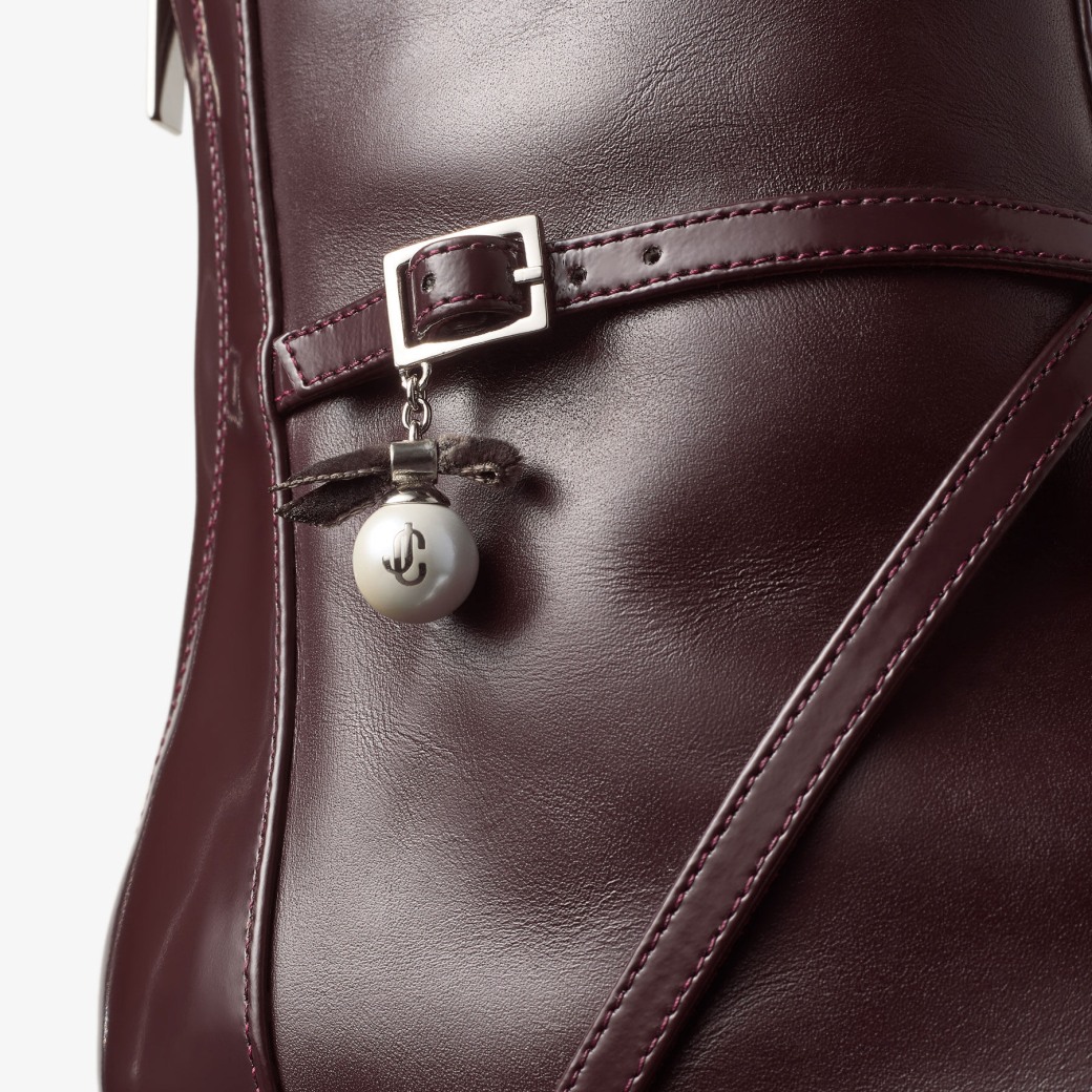 Jimmy Choo 아렌 앵클 부츠 65