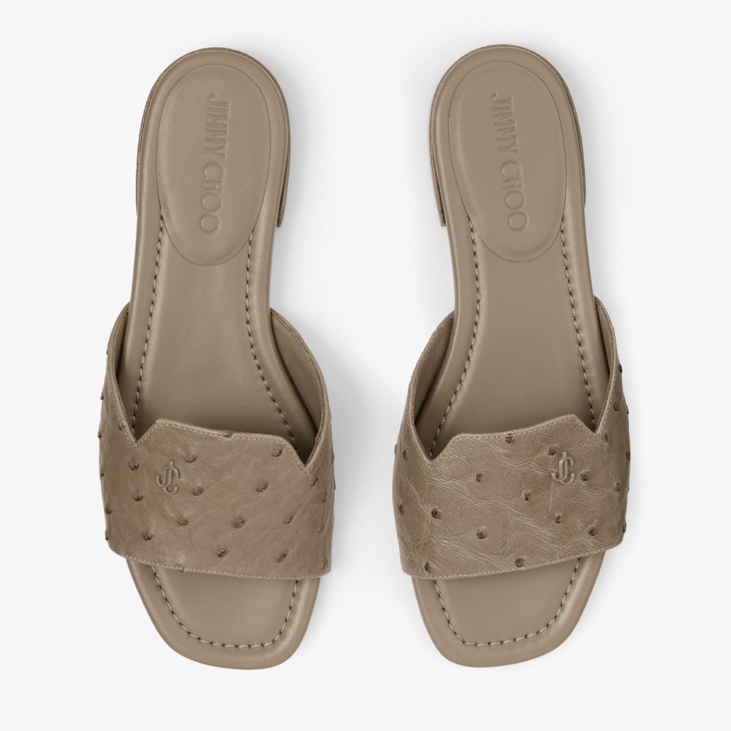 Jimmy Choo Dina Flat