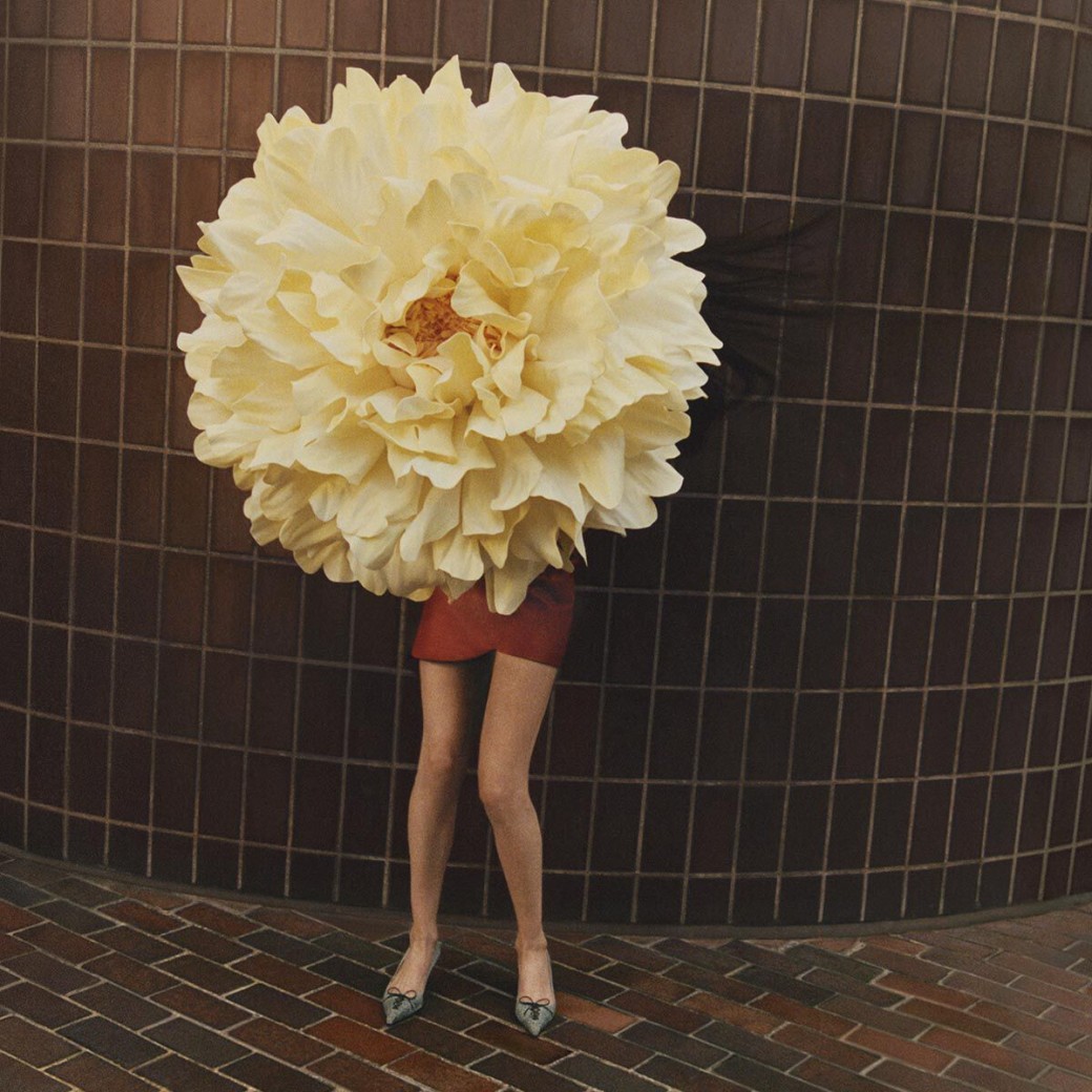 Jimmy Choo Scarlett 50