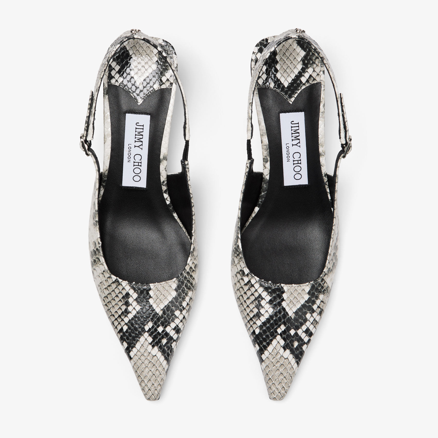 Amel 50|Roccia Snake Print Pumps| JIMMY CHOO