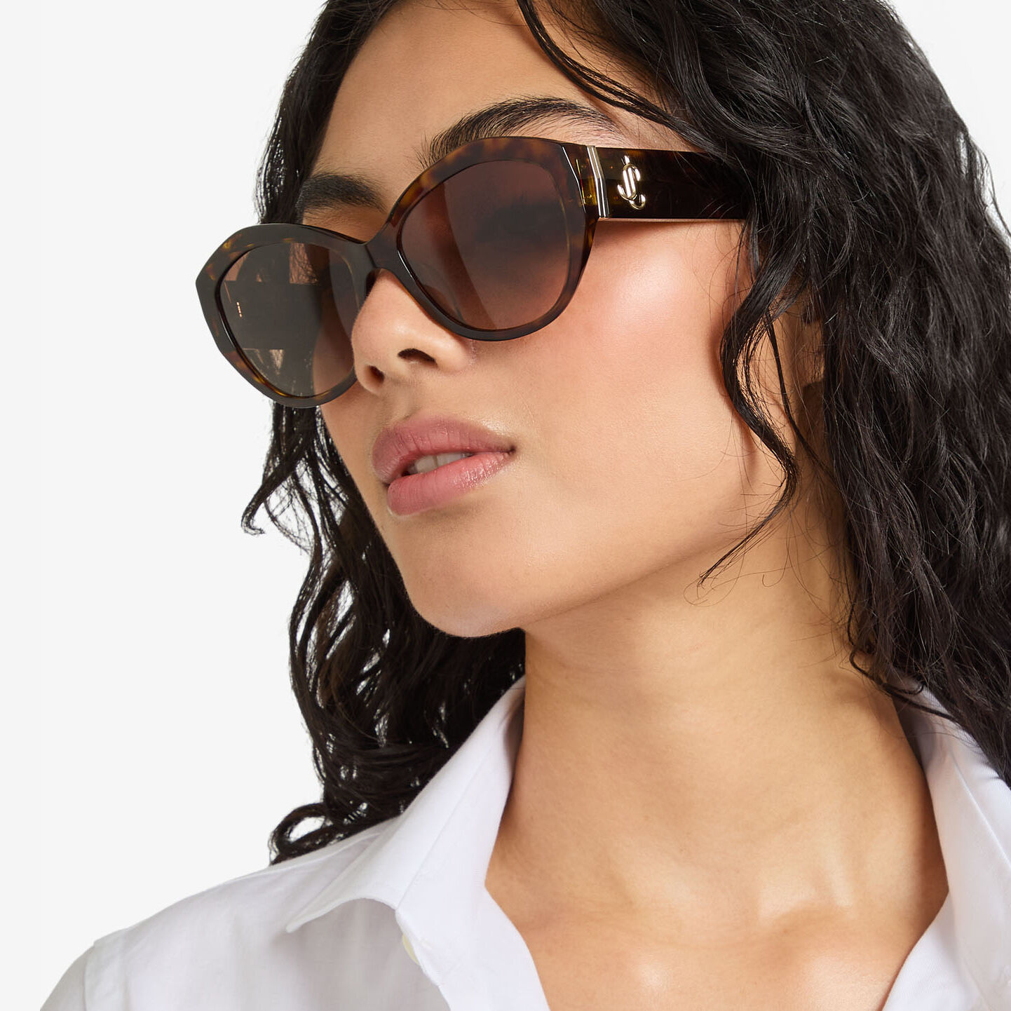 Anahi Brown Havana Butterfly Frame Sunglasses JIMMY CHOO AU