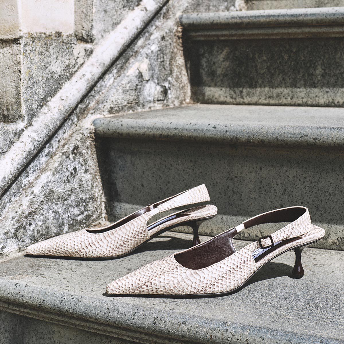 Amel 50 | Roccia Snake Print Leather Pumps | JIMMY CHOO