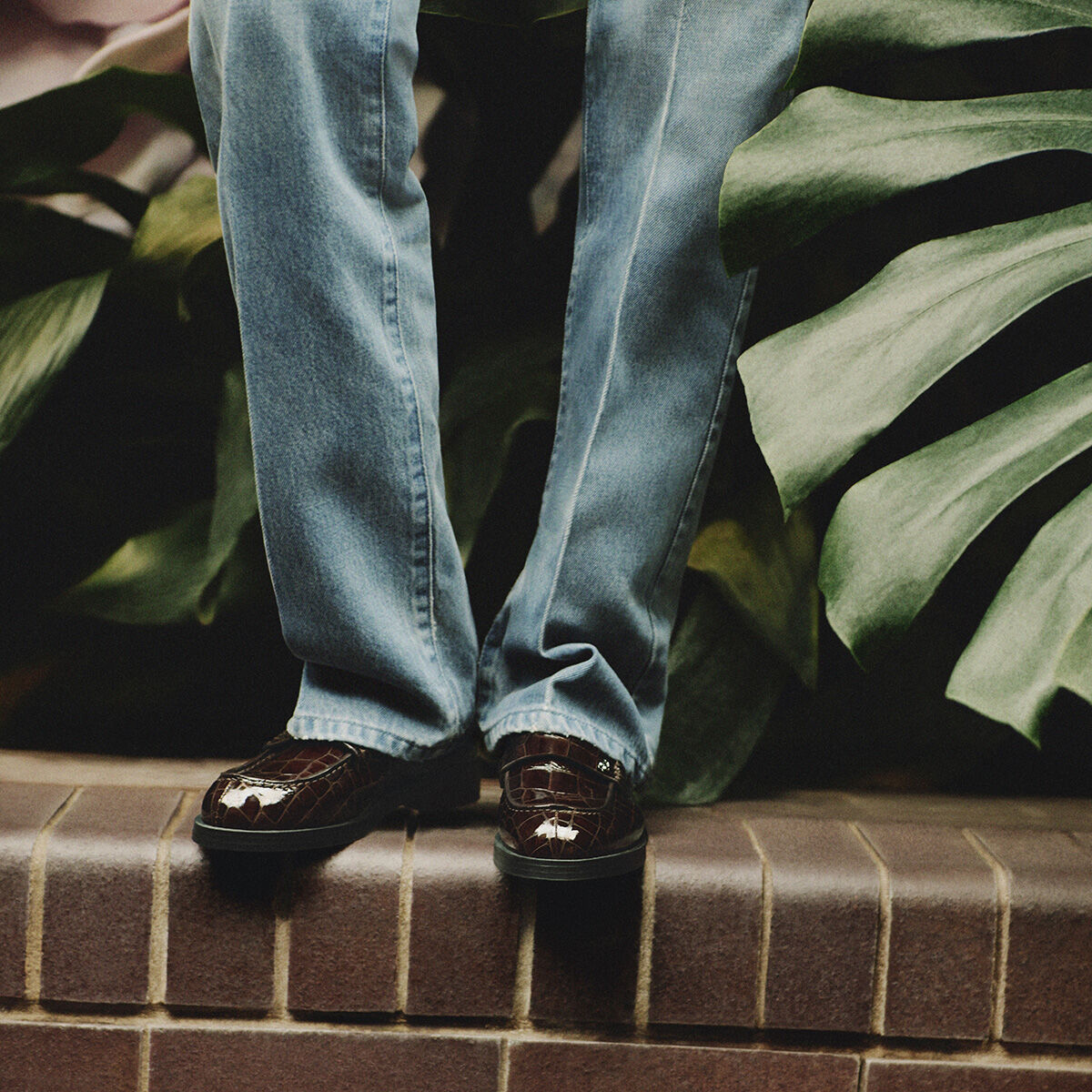 Ivy Loafer | Sambuco Shiny Croc Embossed Leather Loafers | JIMMY CHOO