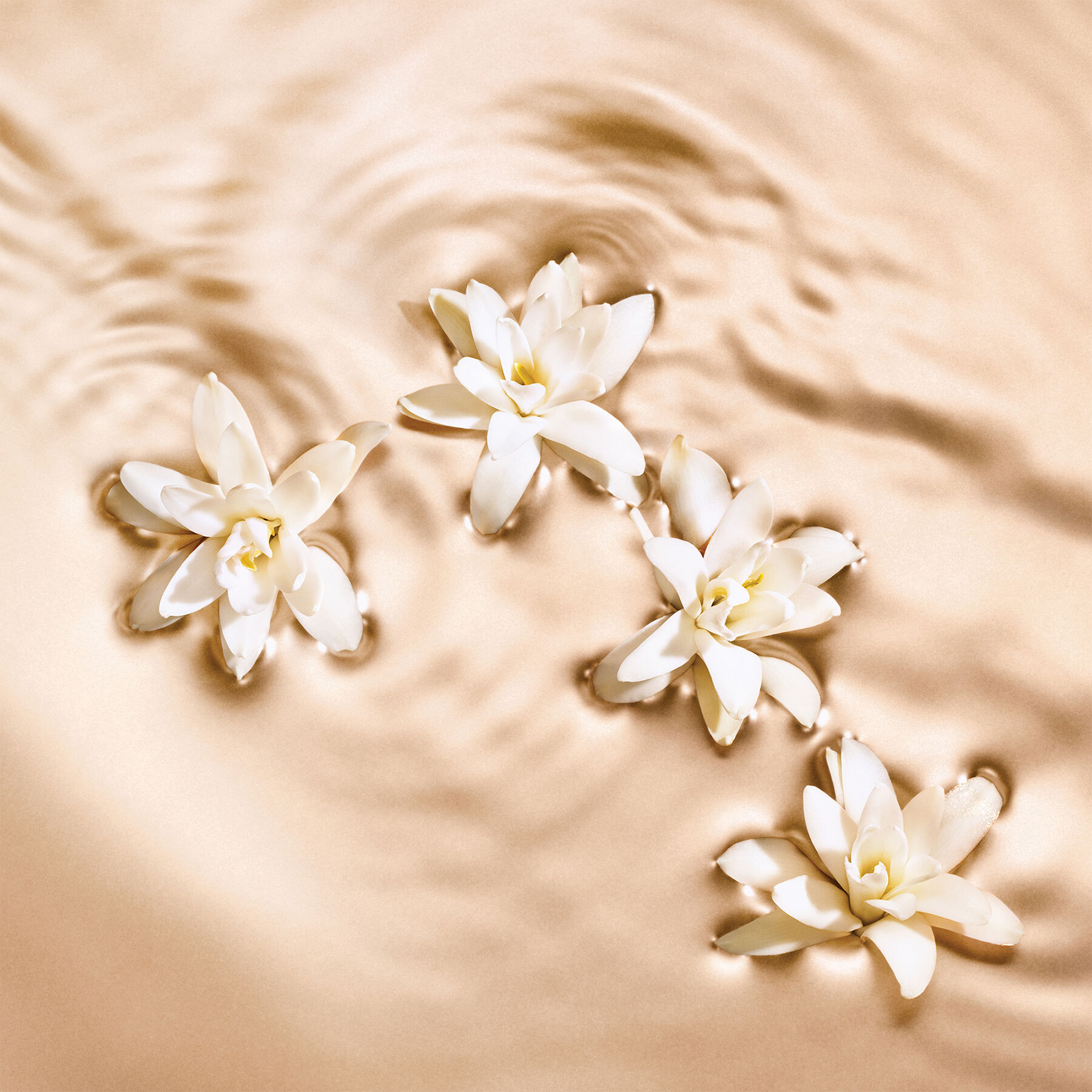 Radiant Tuberose Eau De Parfum 125ml Jimmy Choo