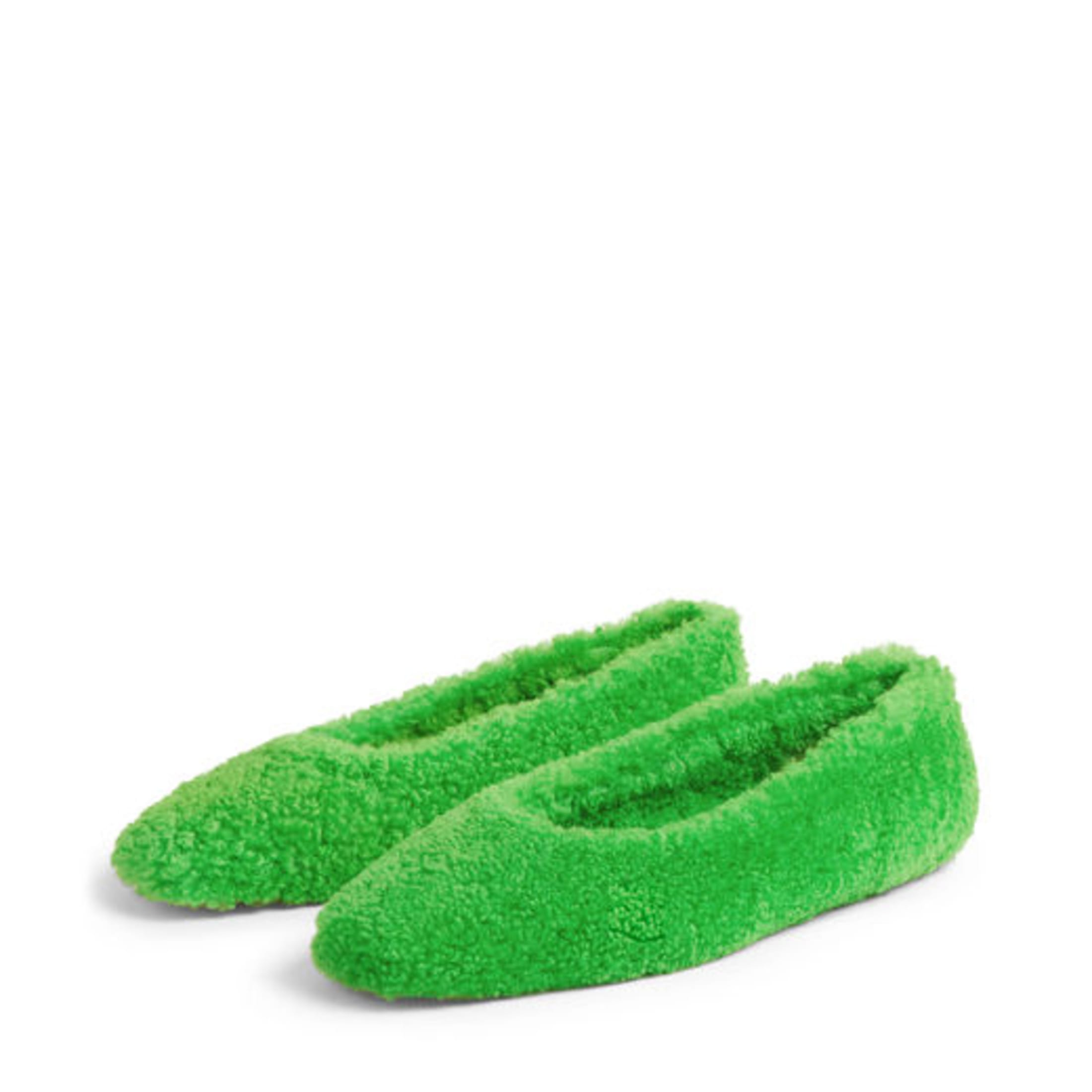 Merlin Flat