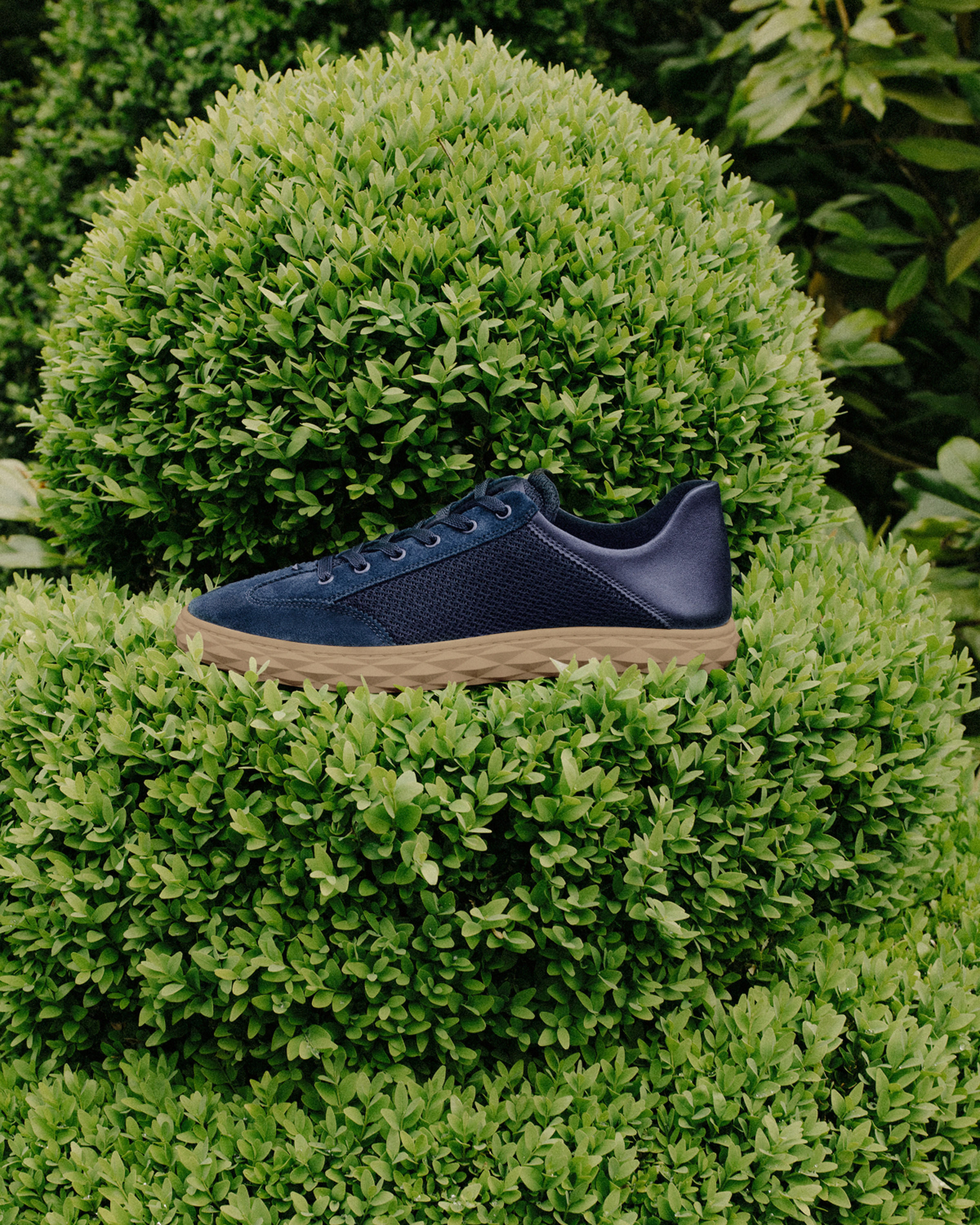 Navy lace-up trainer displayed on sculpted green topiary.