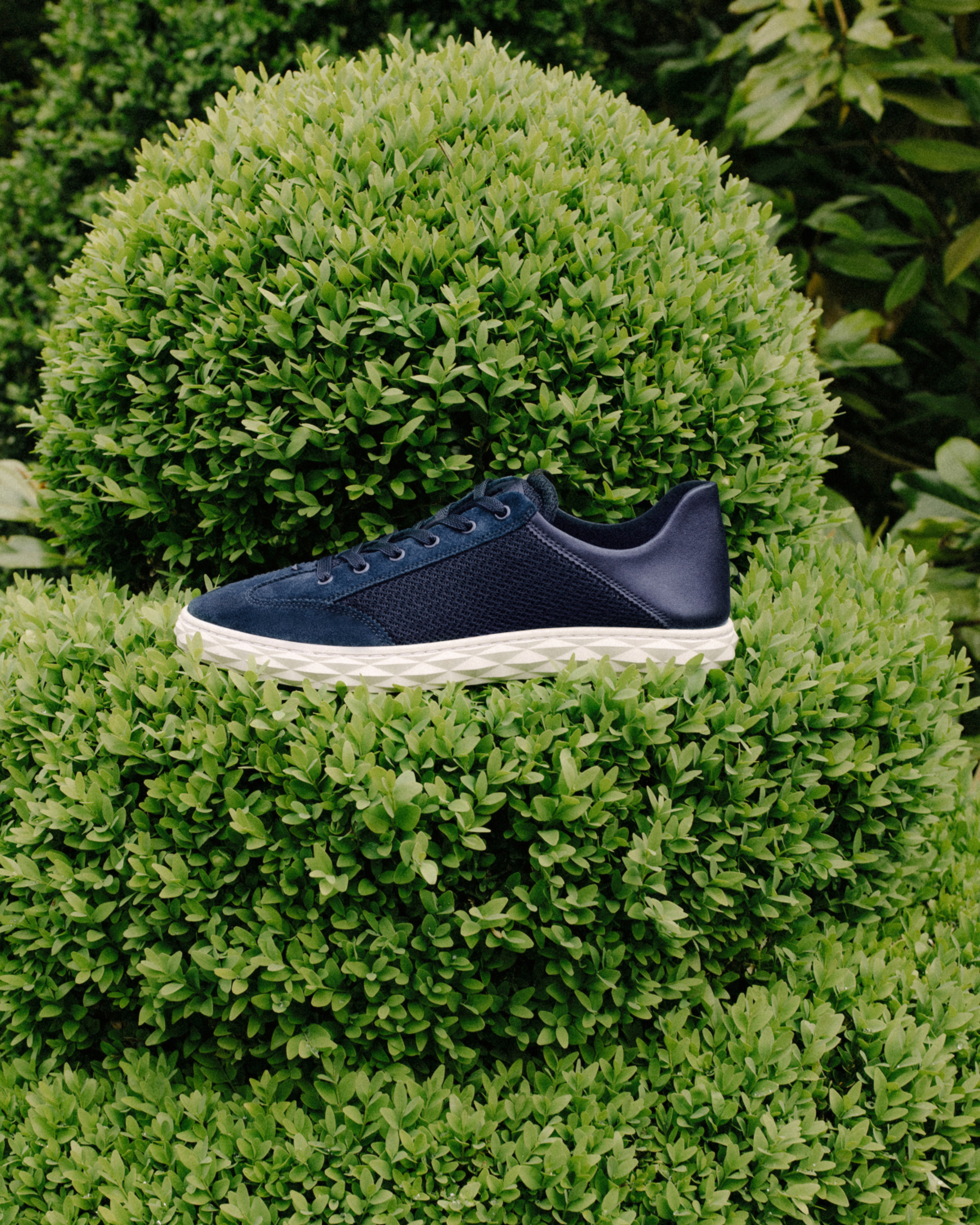 Navy lace-up trainer displayed on sculpted green topiary.