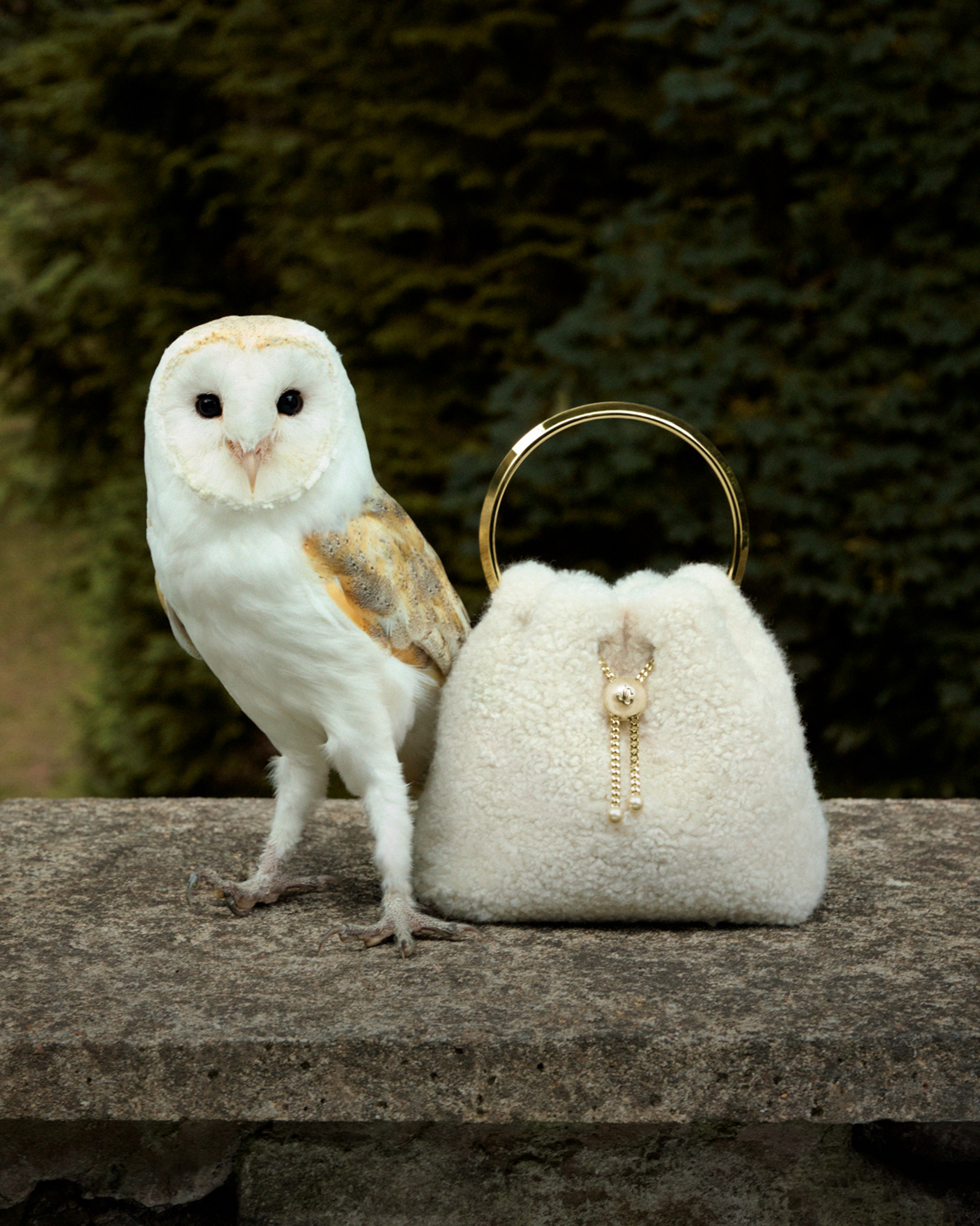  White owl standing beside a cream shearling top-handle bag with gold-tone hardware and pearl closure on a stone wall.