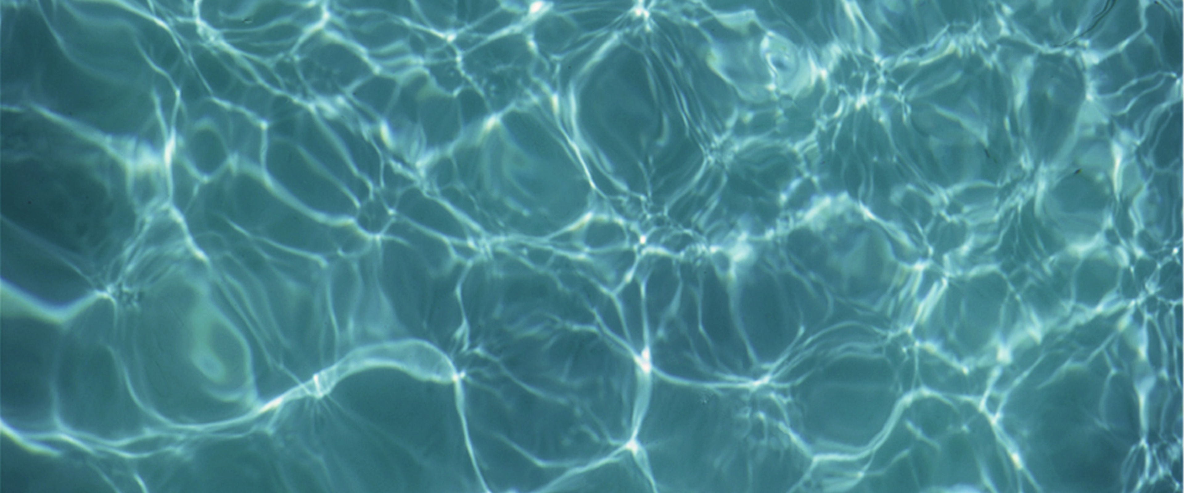 sustainability-manifesto