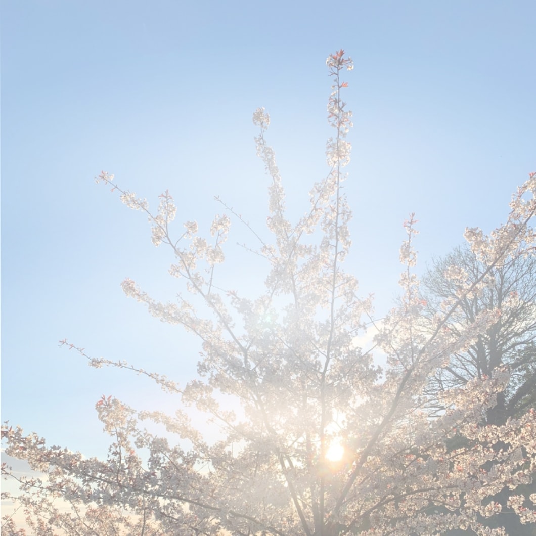 Jimmy Choo Supports Crisis Response