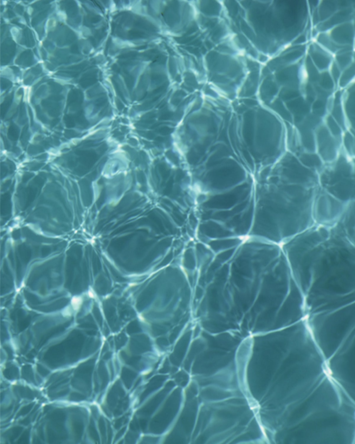 sustainability-manifesto