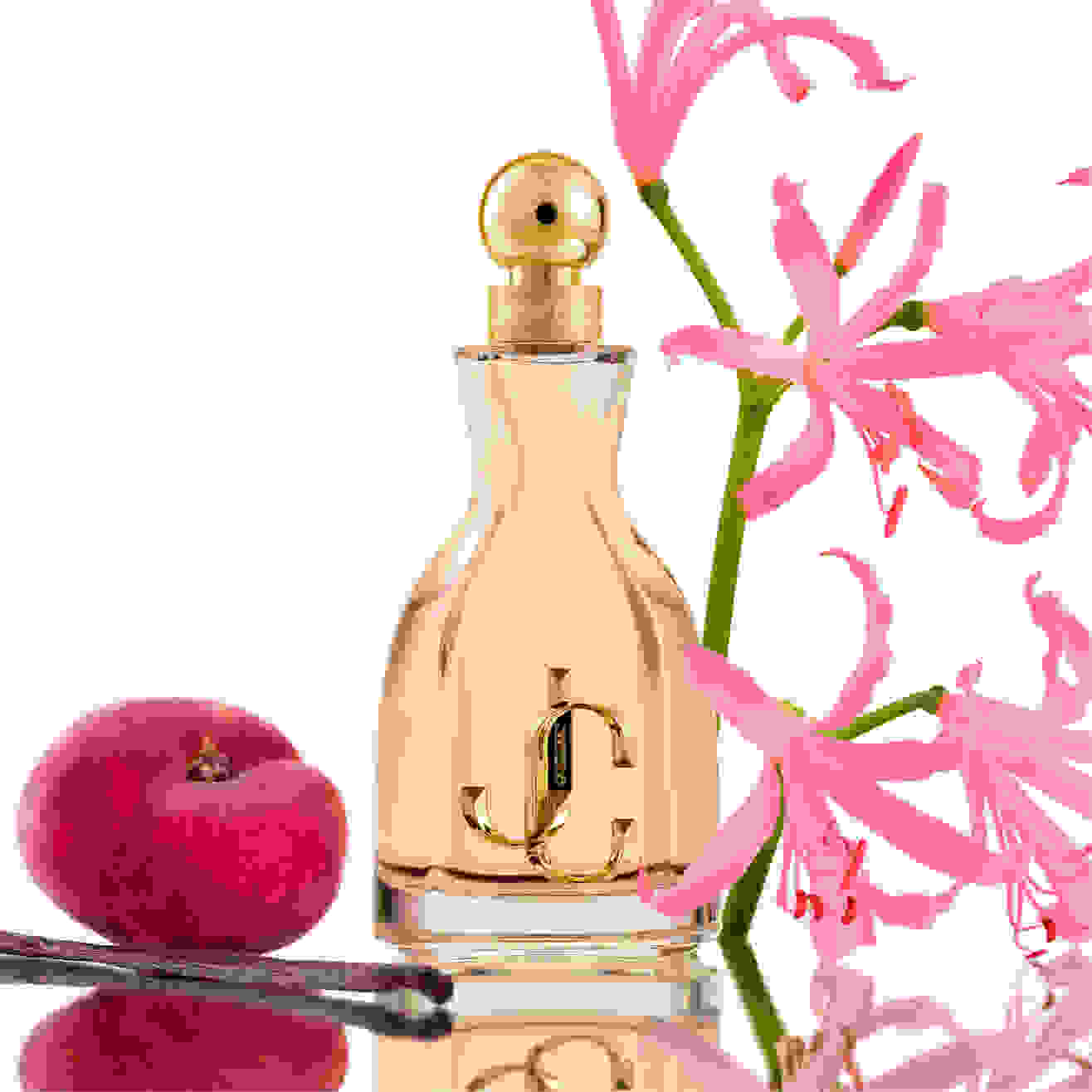 Jimmy Choo The Spring 2024 Collection