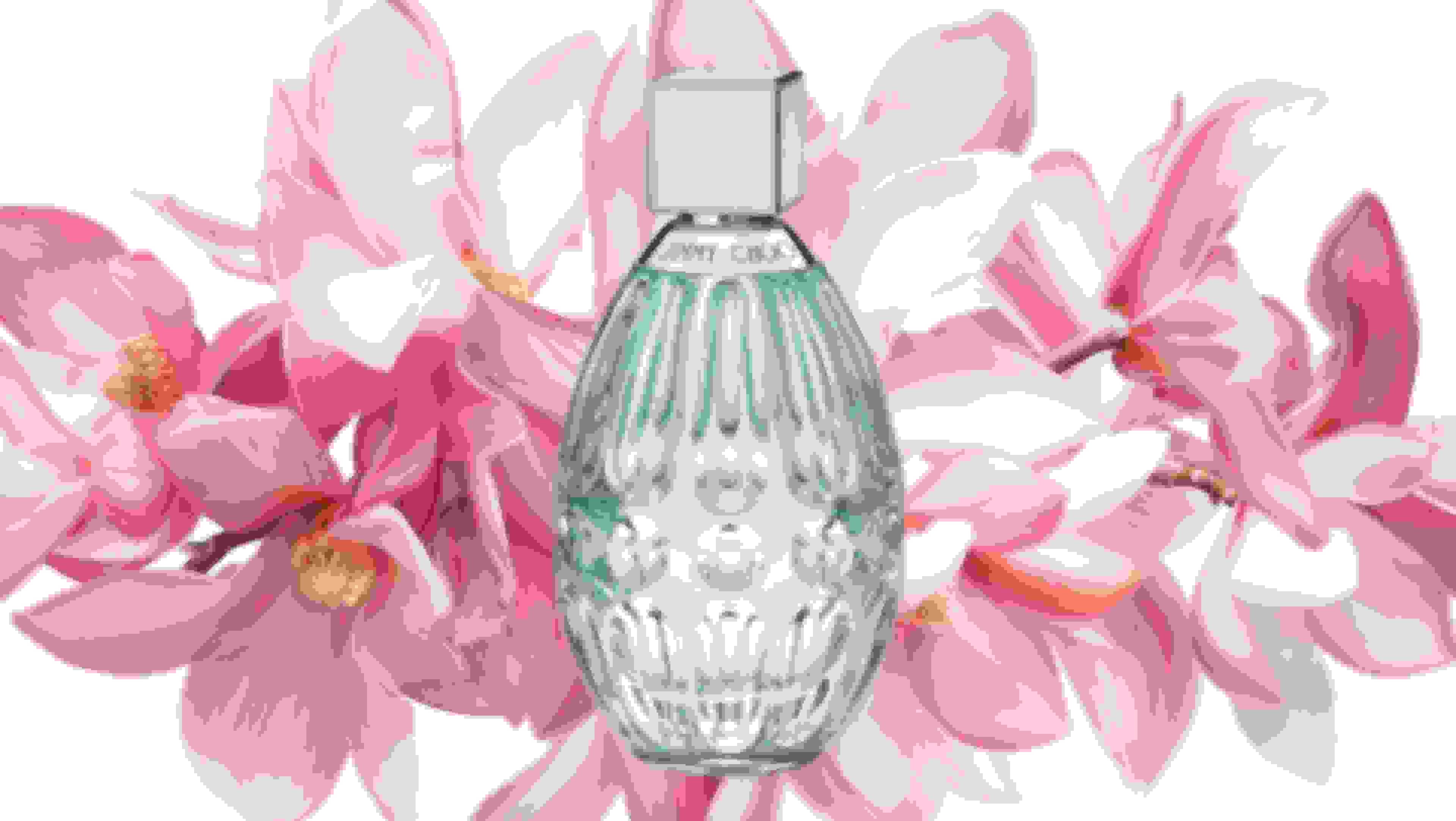 Jimmy choo online illicit flower ulta