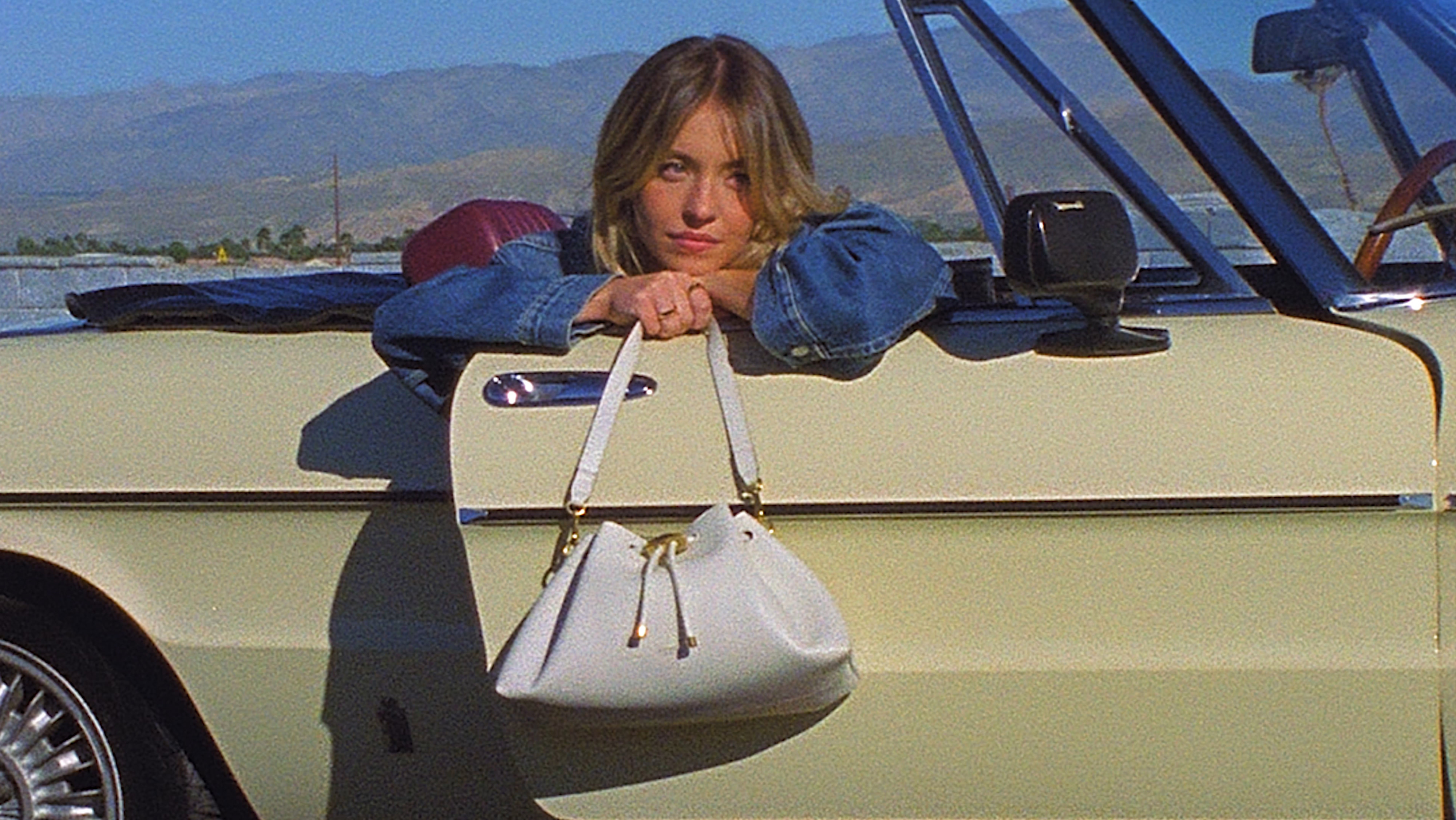 ビデオを再生する