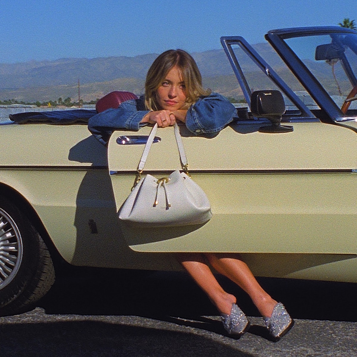 ビデオを再生する