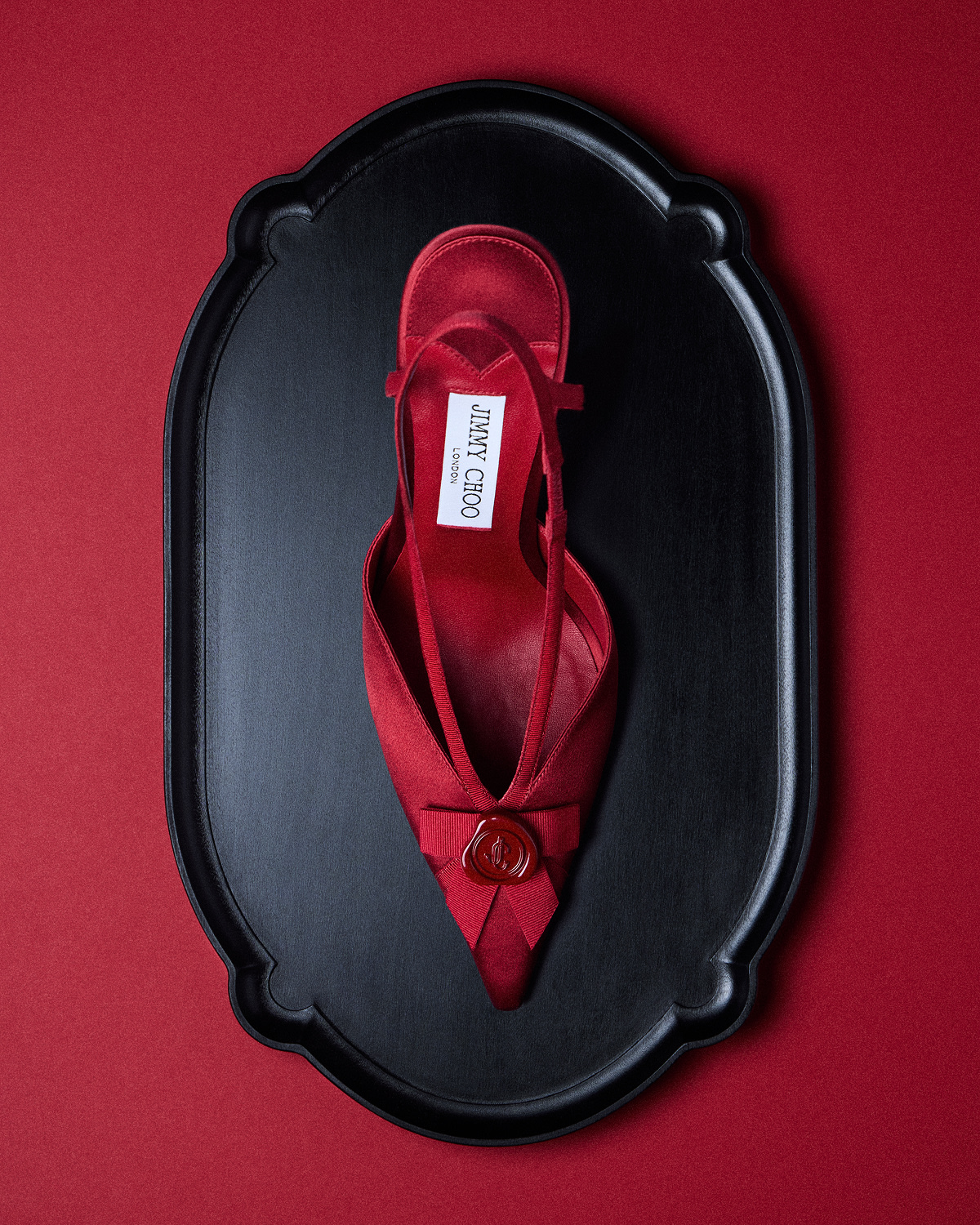 Jimmy Choo Faya shoe