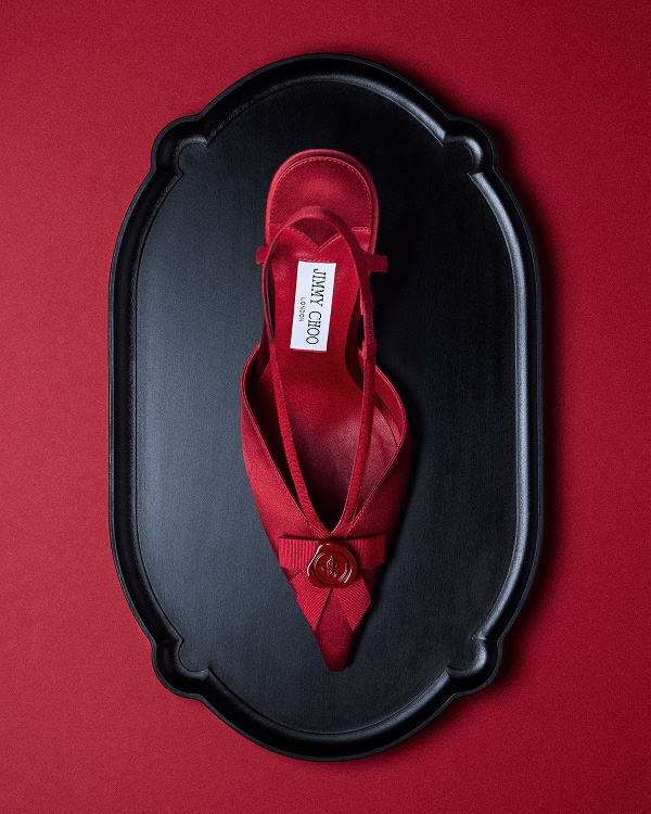 Jimmy Choo Faya shoe