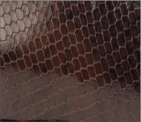 Shiny Snake Print Leather