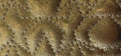 GRAPHIC STAR QUILTED METALLIC NAPPA