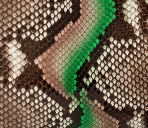 DEGRADE PAINTED PYTHON