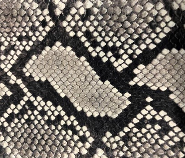 Printed Elaphe