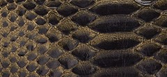 Lace Print Python