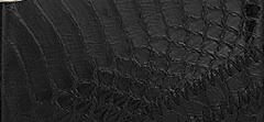 Pleated / Herringbone Elaphe