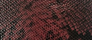Snake Printed Leather