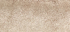Coarse Metallic Leather