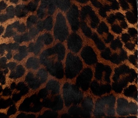 Degrade Leopard Print Pony