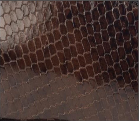 Shiny Snake Print Leather
