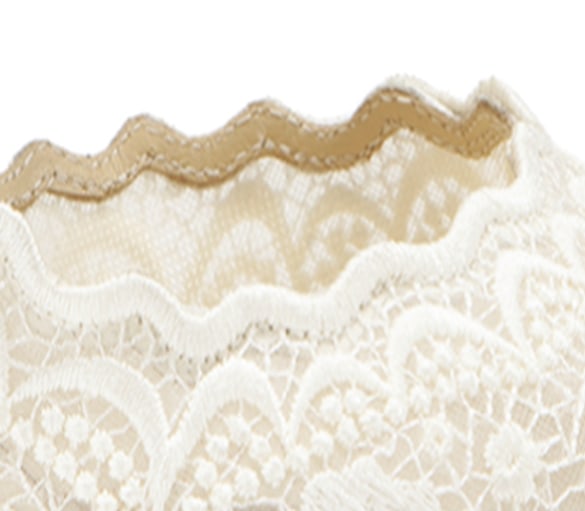 Lace Embroidery