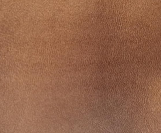 METALLIC ETCHED LEATHER