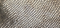 Metallic Lizard Print Leather